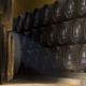 Qué es un vino de Jerez: guía completa para entender el vino más singular de España 2 qué es un vivo de jerez